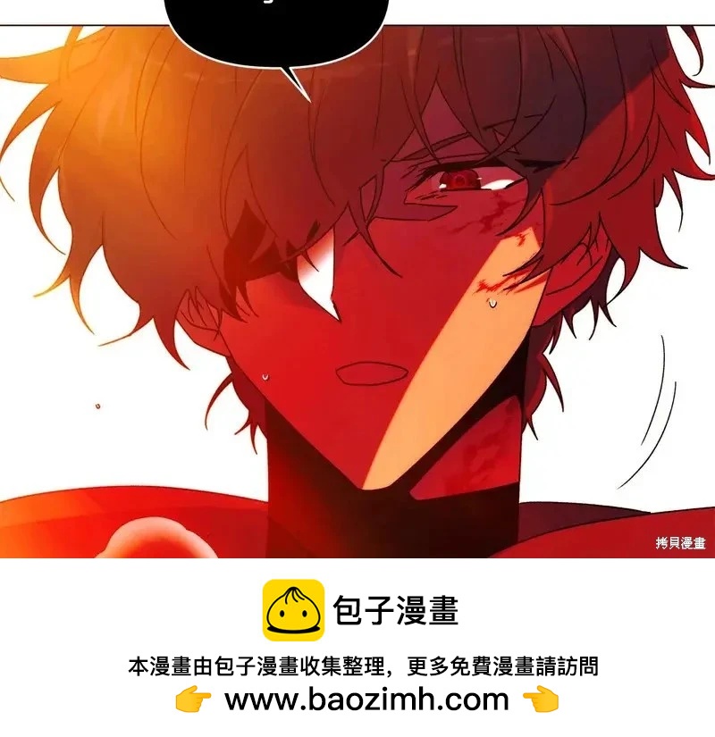 第 100 页