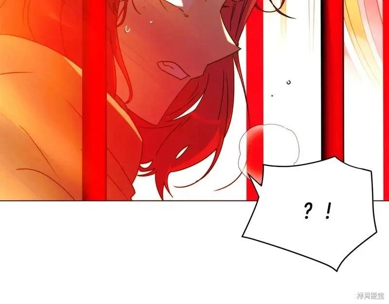 第 121 页