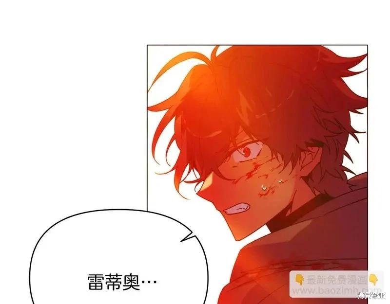 第 146 页