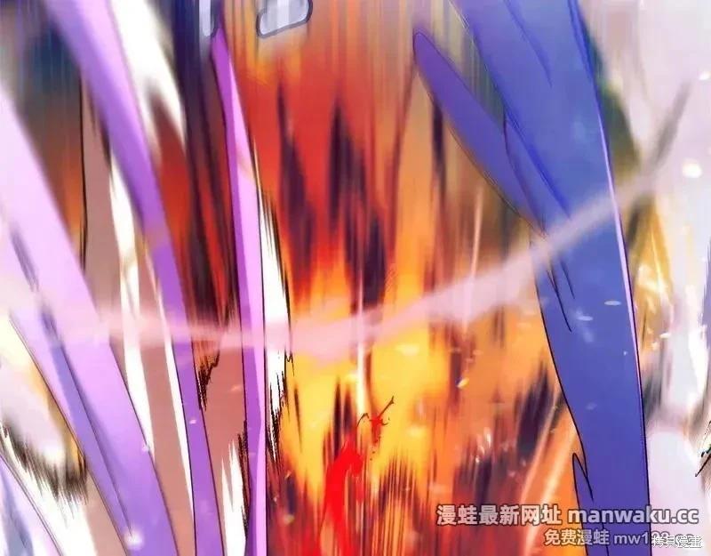 第 146 页