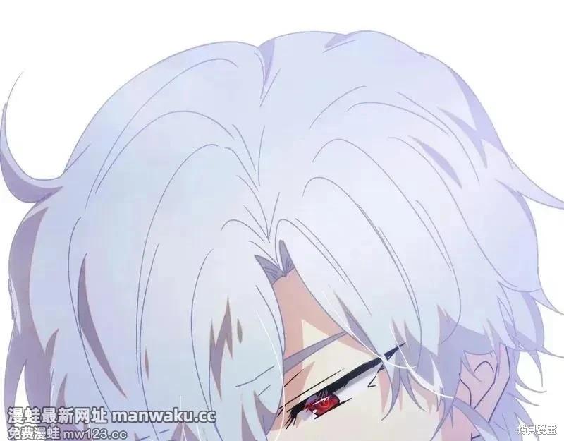第 146 页