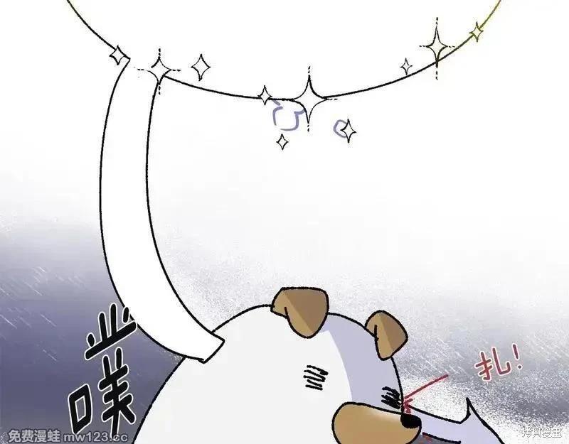 第 118 页