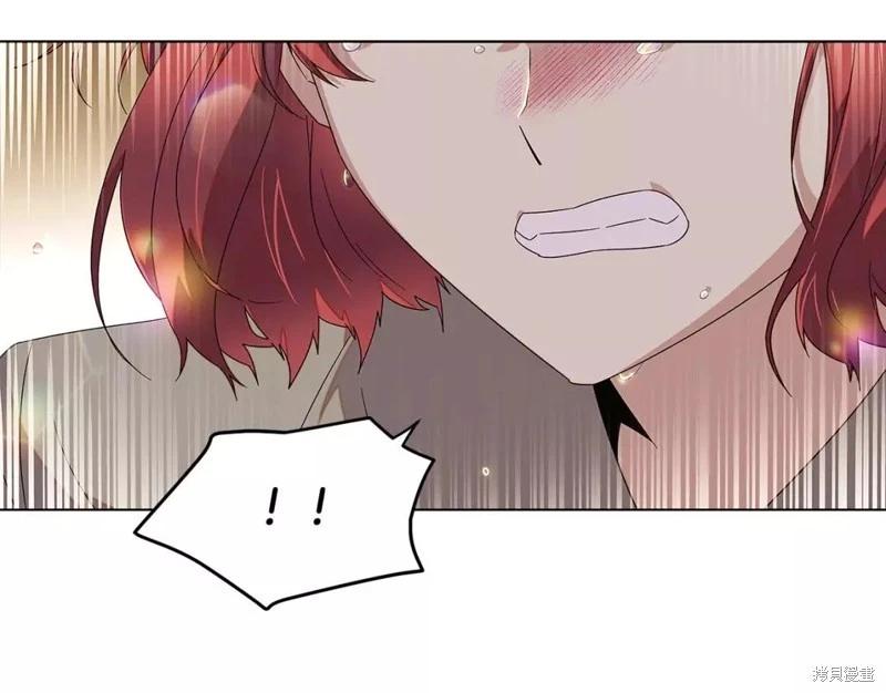 第 194 页