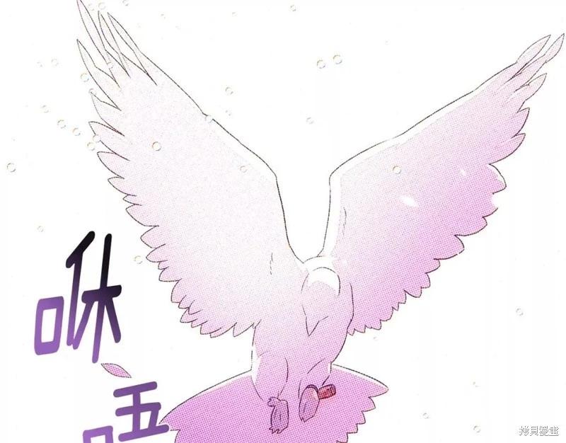 第 141 页