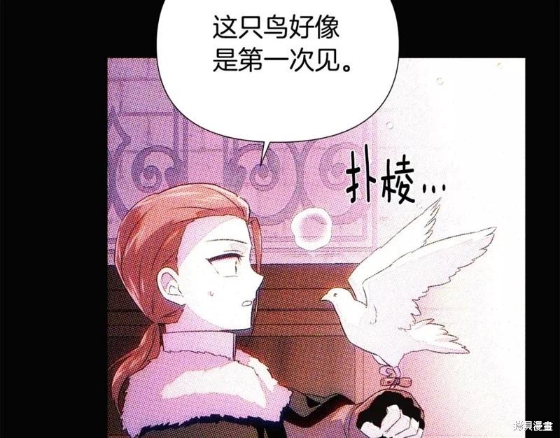 第 152 页