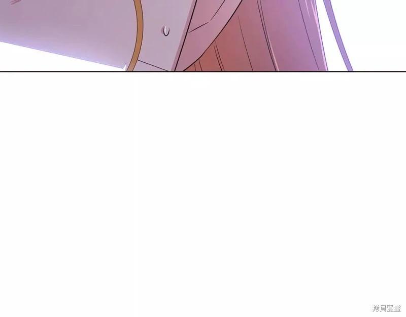 第 146 页