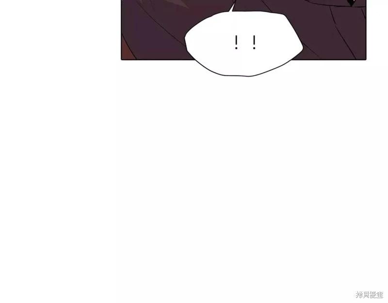 第 113 页
