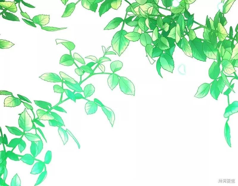 第 135 页