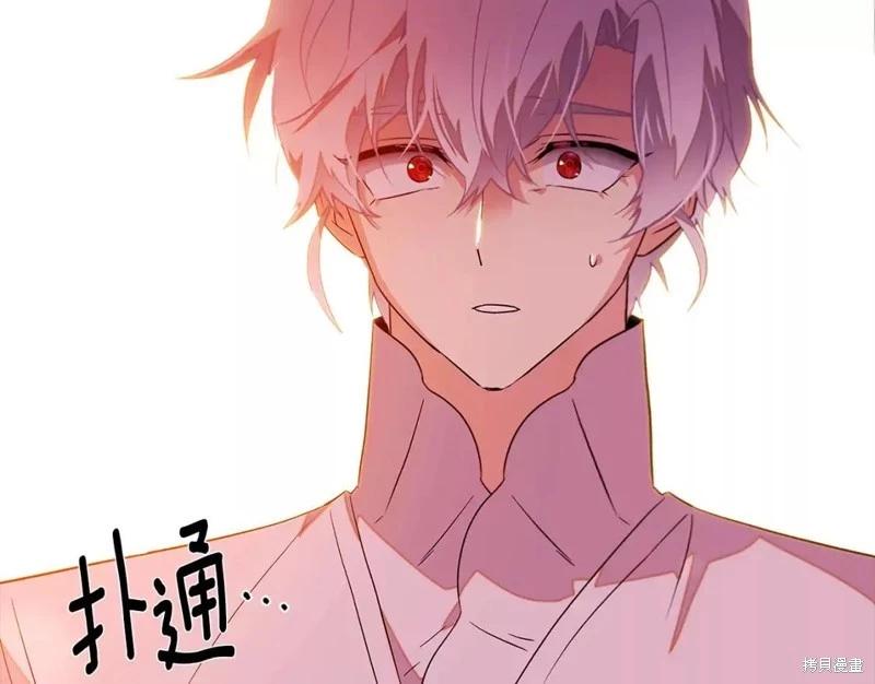 第 123 页