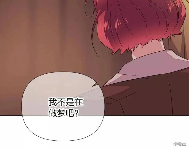 第 113 页