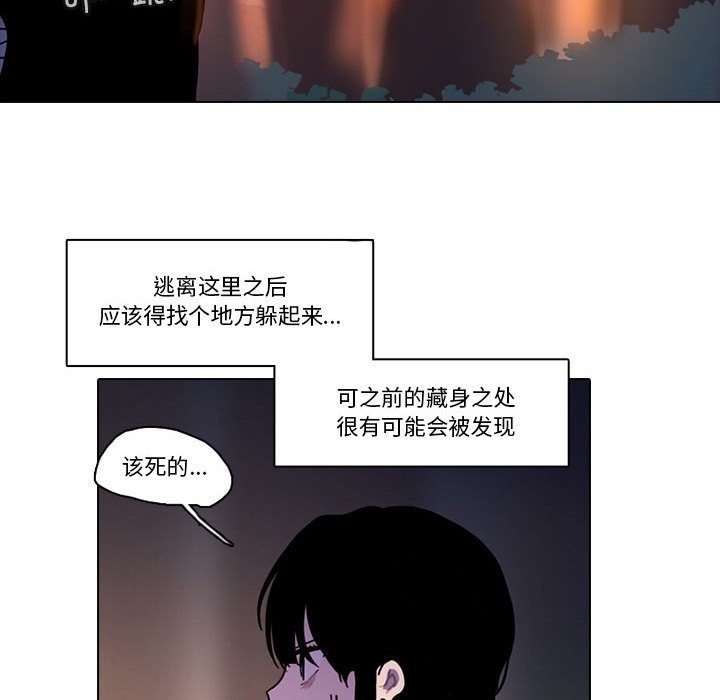 第 31 页