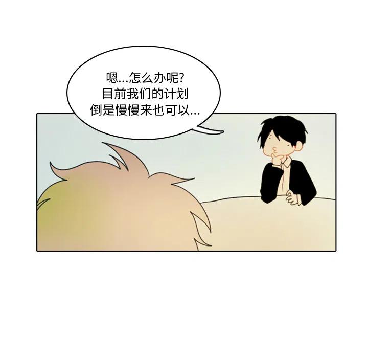 第 51 页