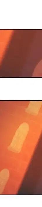 第 147 页
