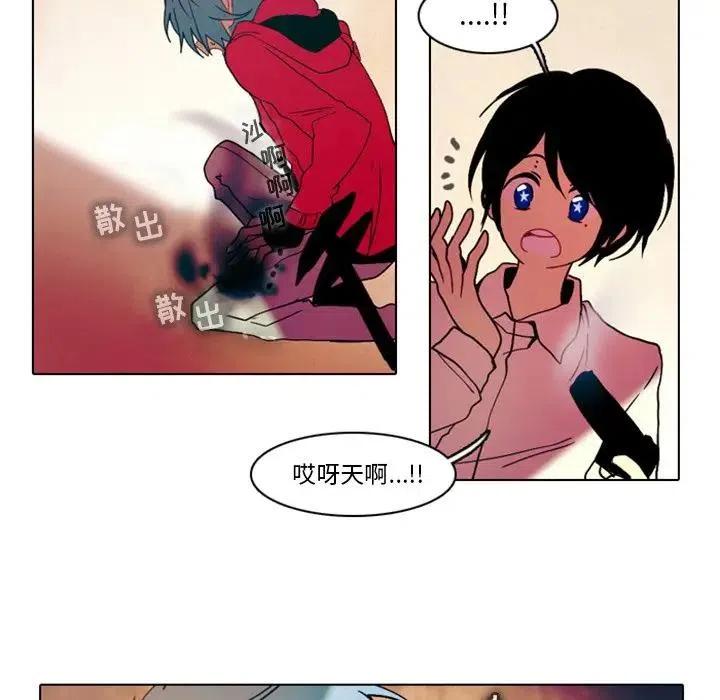 第 41 页