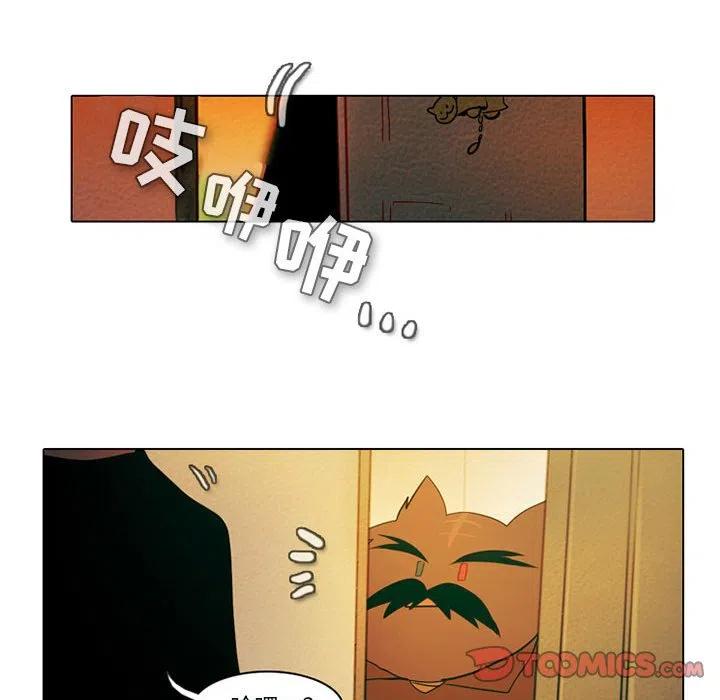 第 41 页