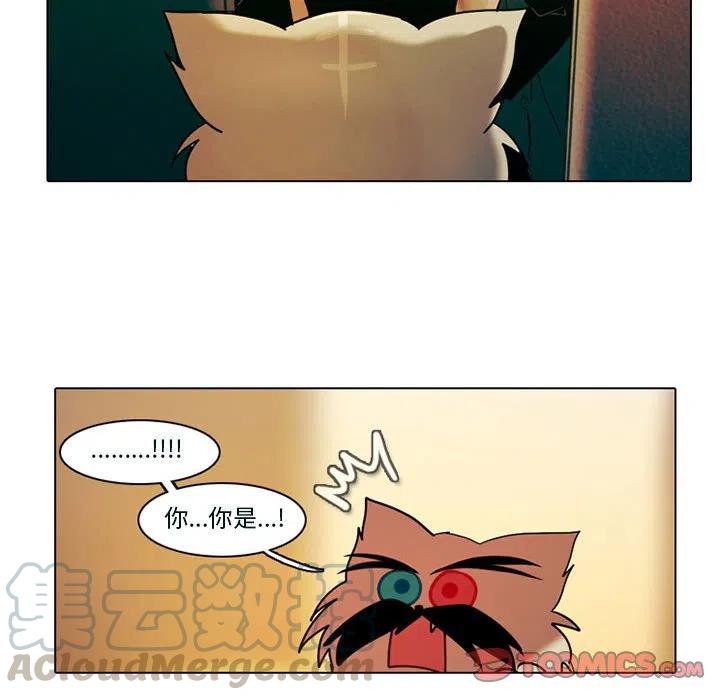 第 43 页