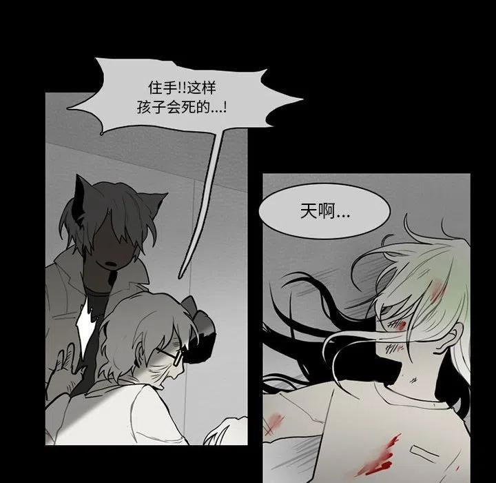 第 51 页