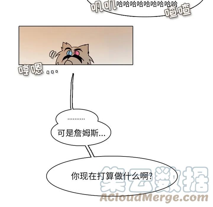 第 43 页