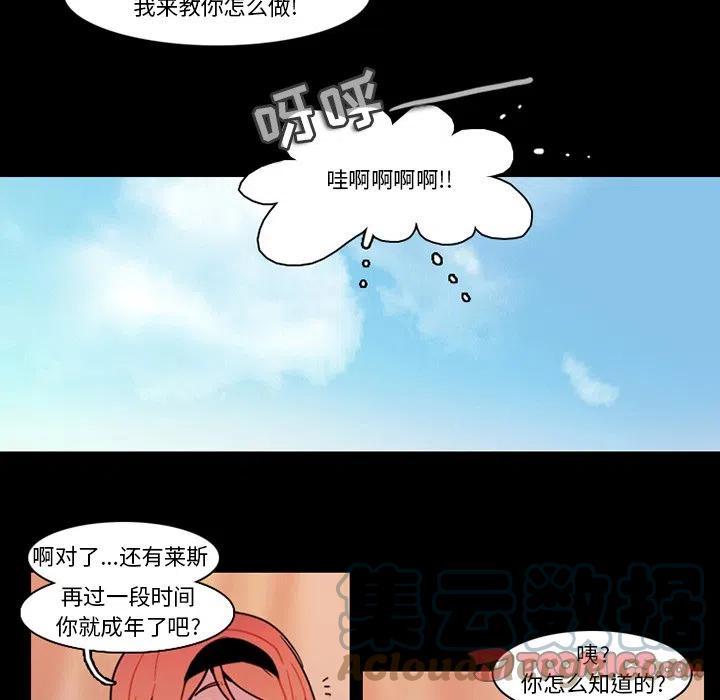 第 31 页