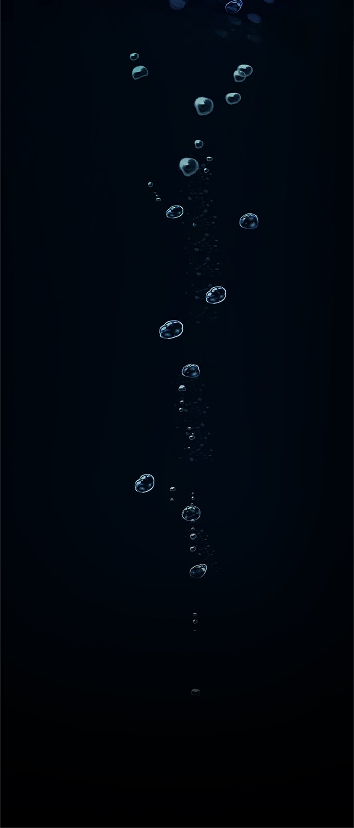 第 135 页