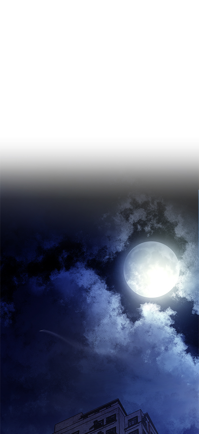 第 97 页