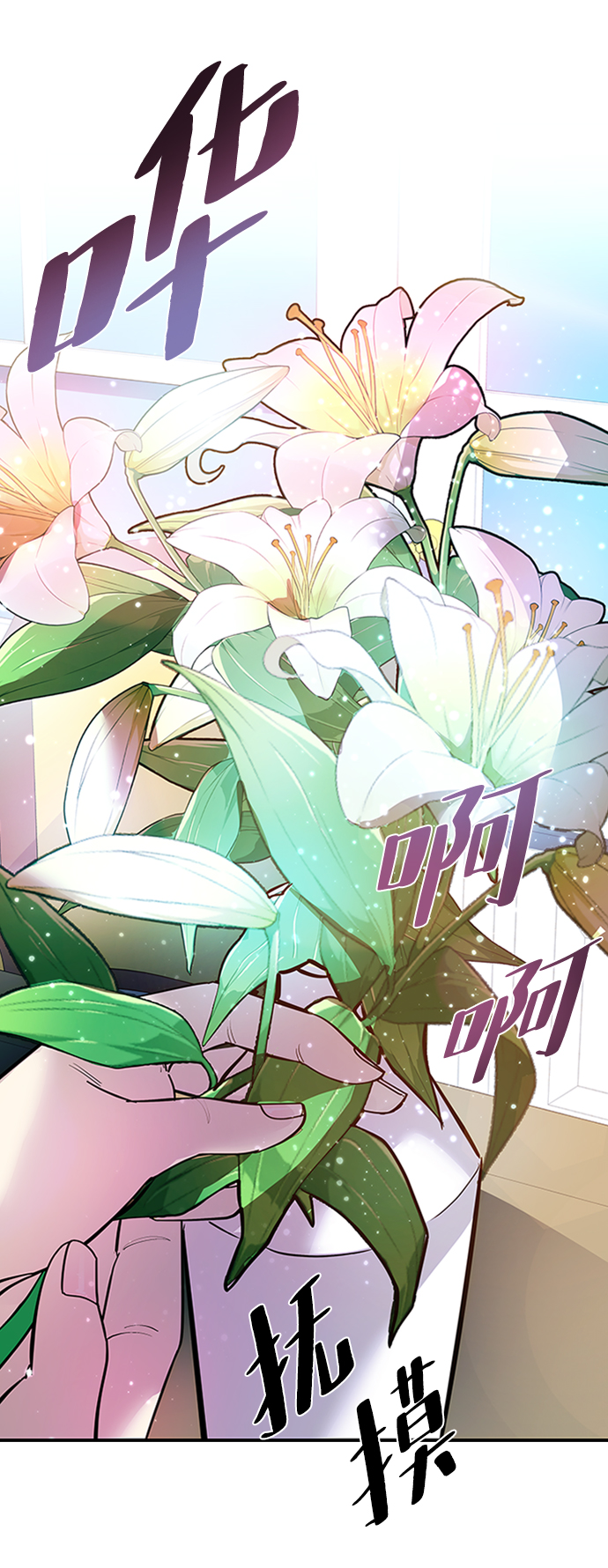第 53 页