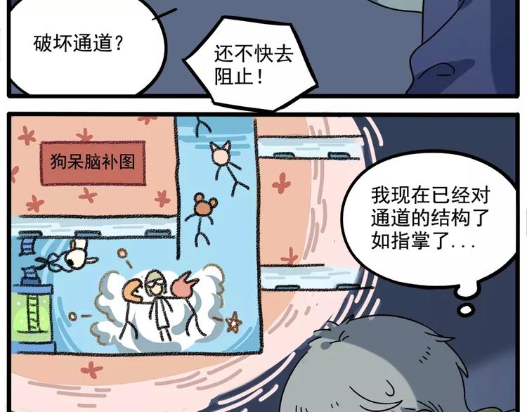 第 43 页