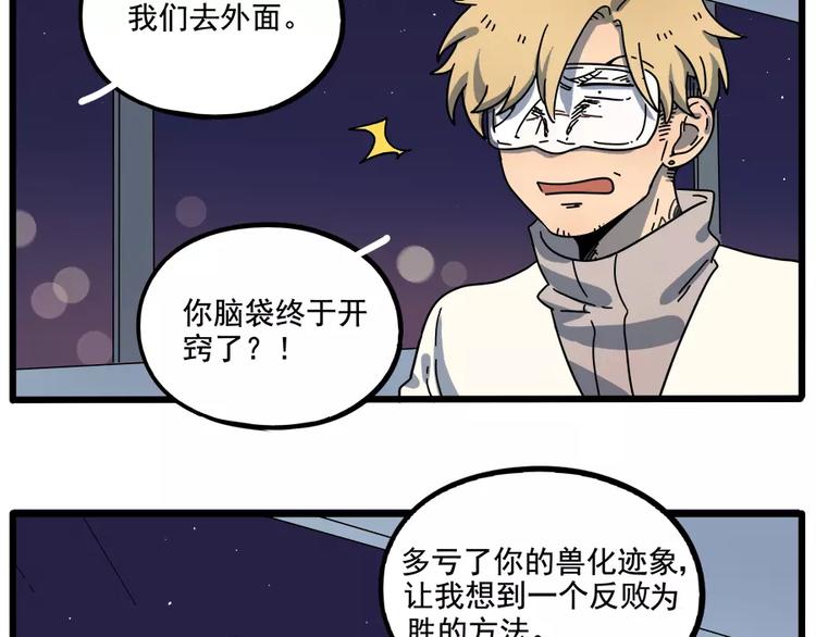 第 51 页