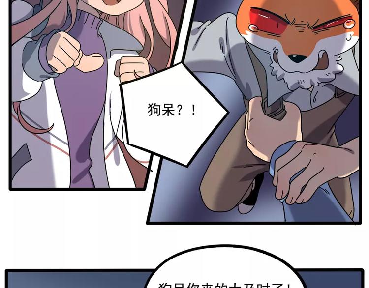 第 41 页