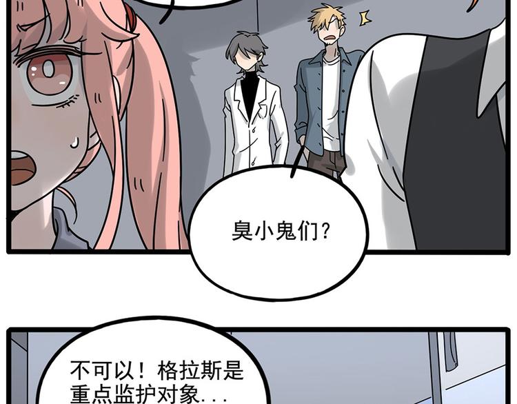 第 41 页