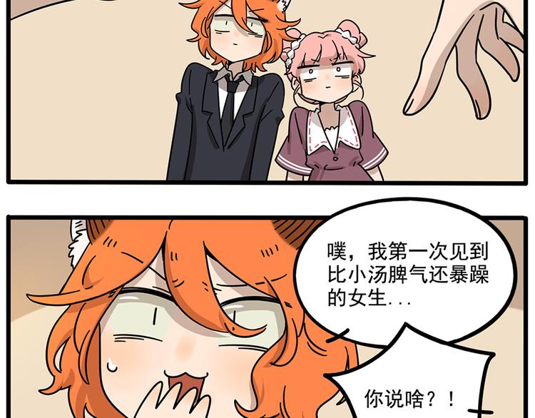 第 35 页