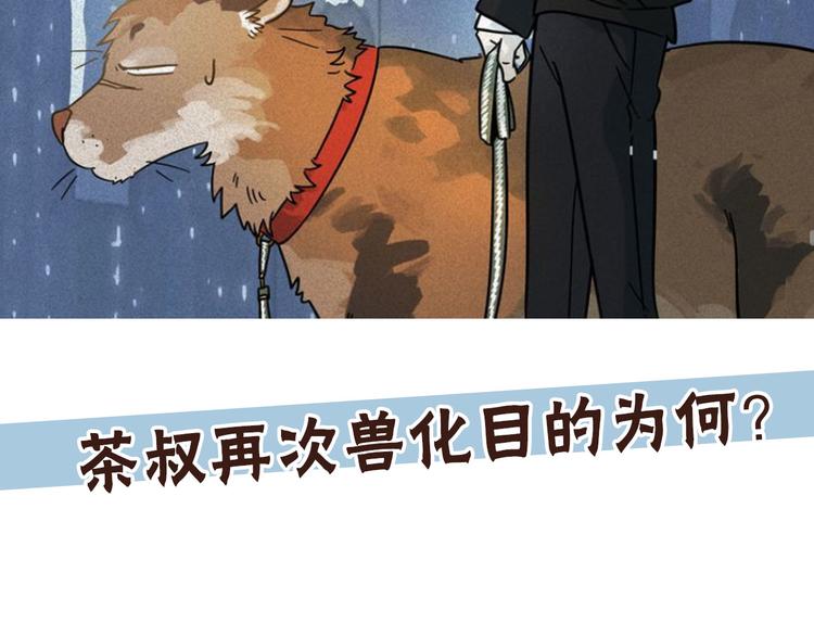 第 88 页