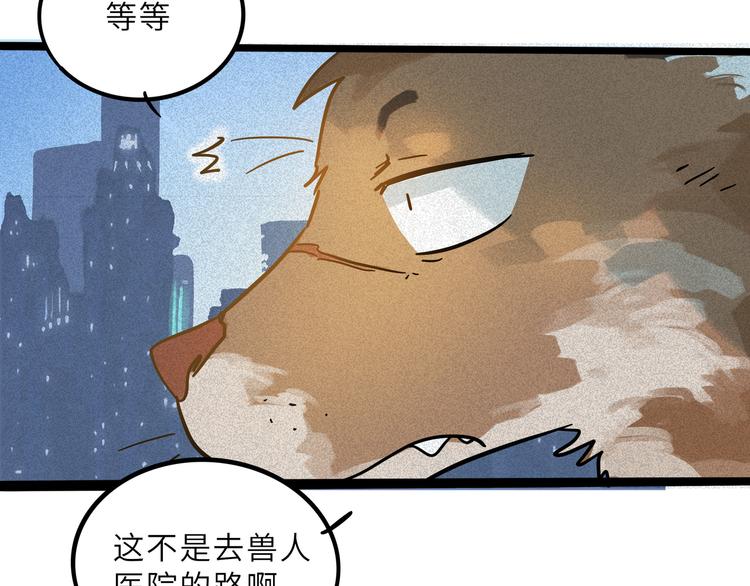 第 74 页