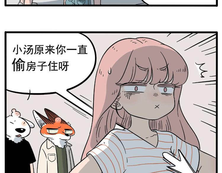 第 41 页