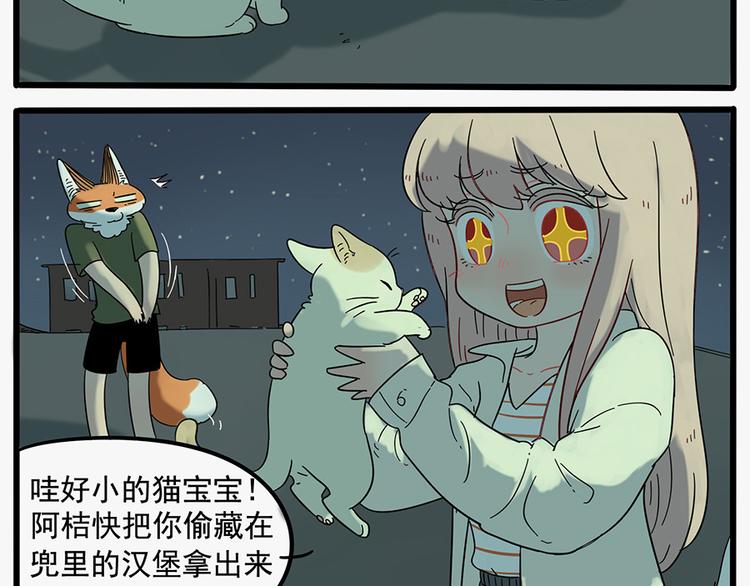 第 41 页