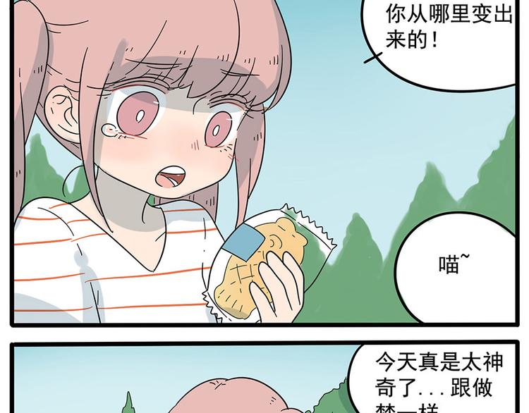第 54 页