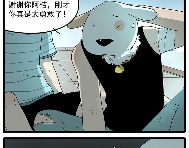 第 43 页