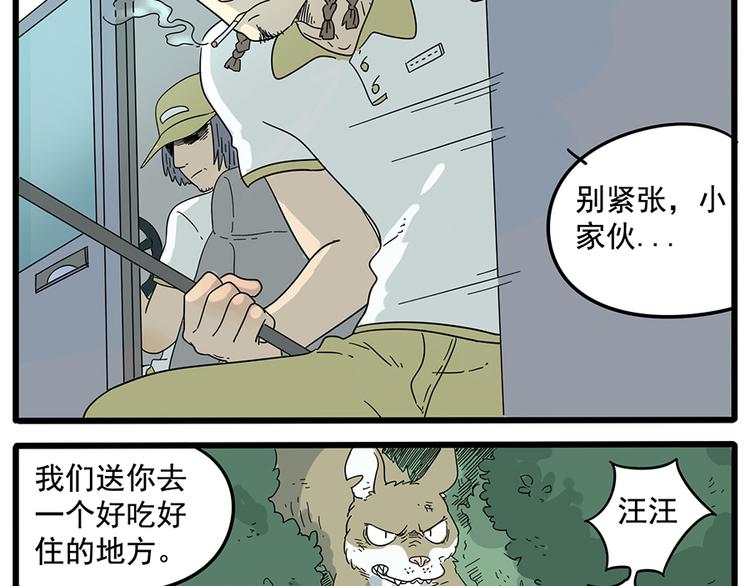 第 45 页