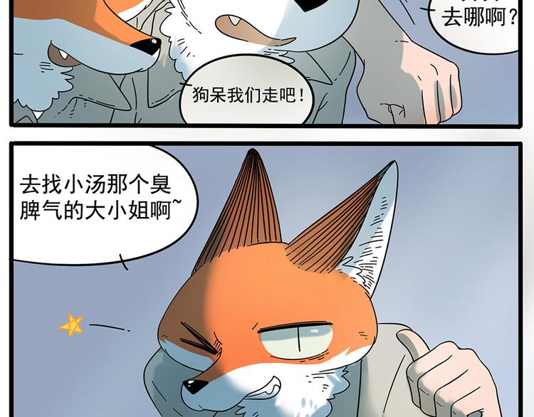 第 41 页
