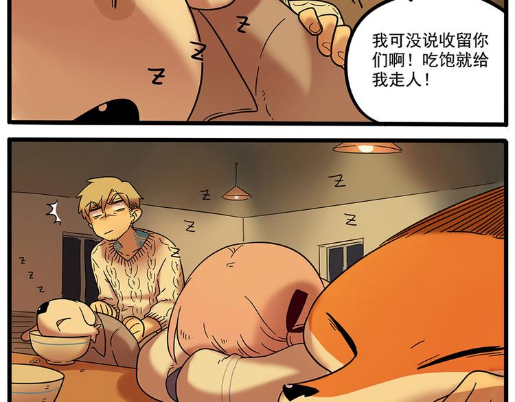 第 43 页