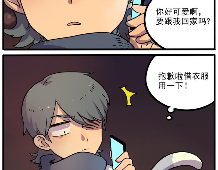 第 41 页
