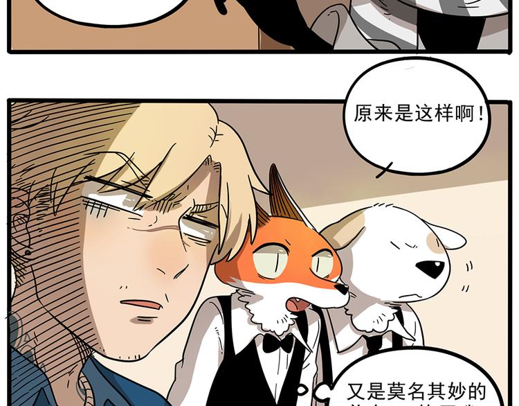 第 51 页