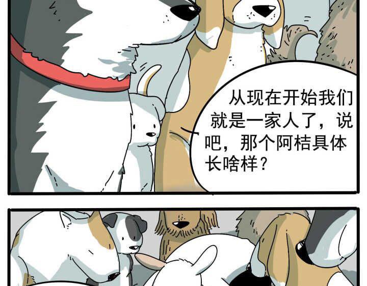 第 36 页