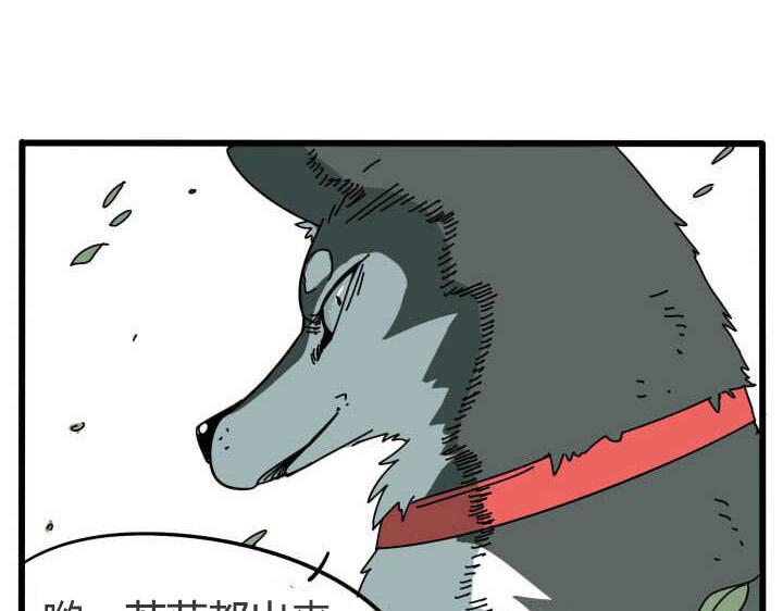 第 43 页