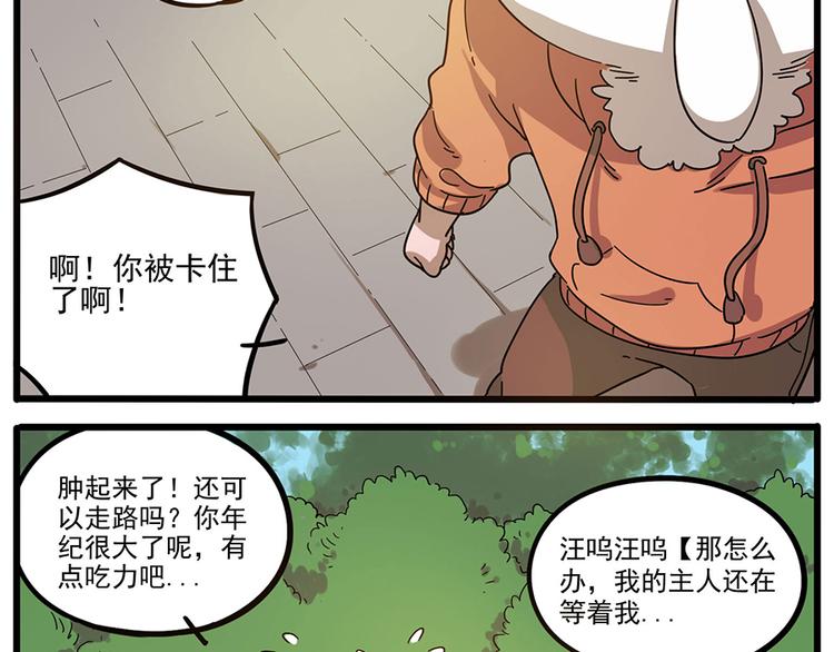 第 55 页