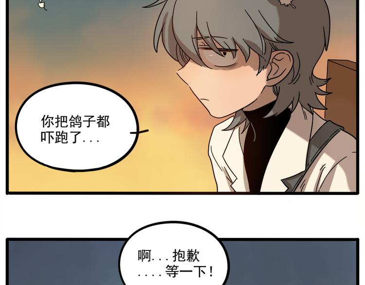 第 41 页