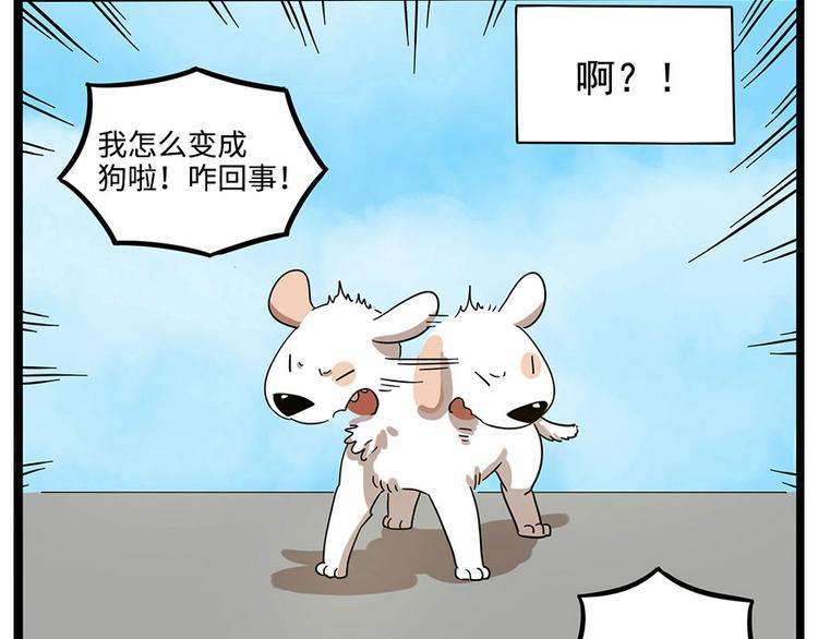 第 64 页