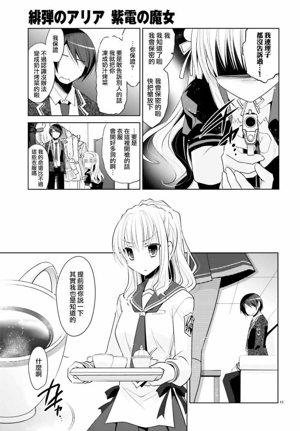 第 13 页