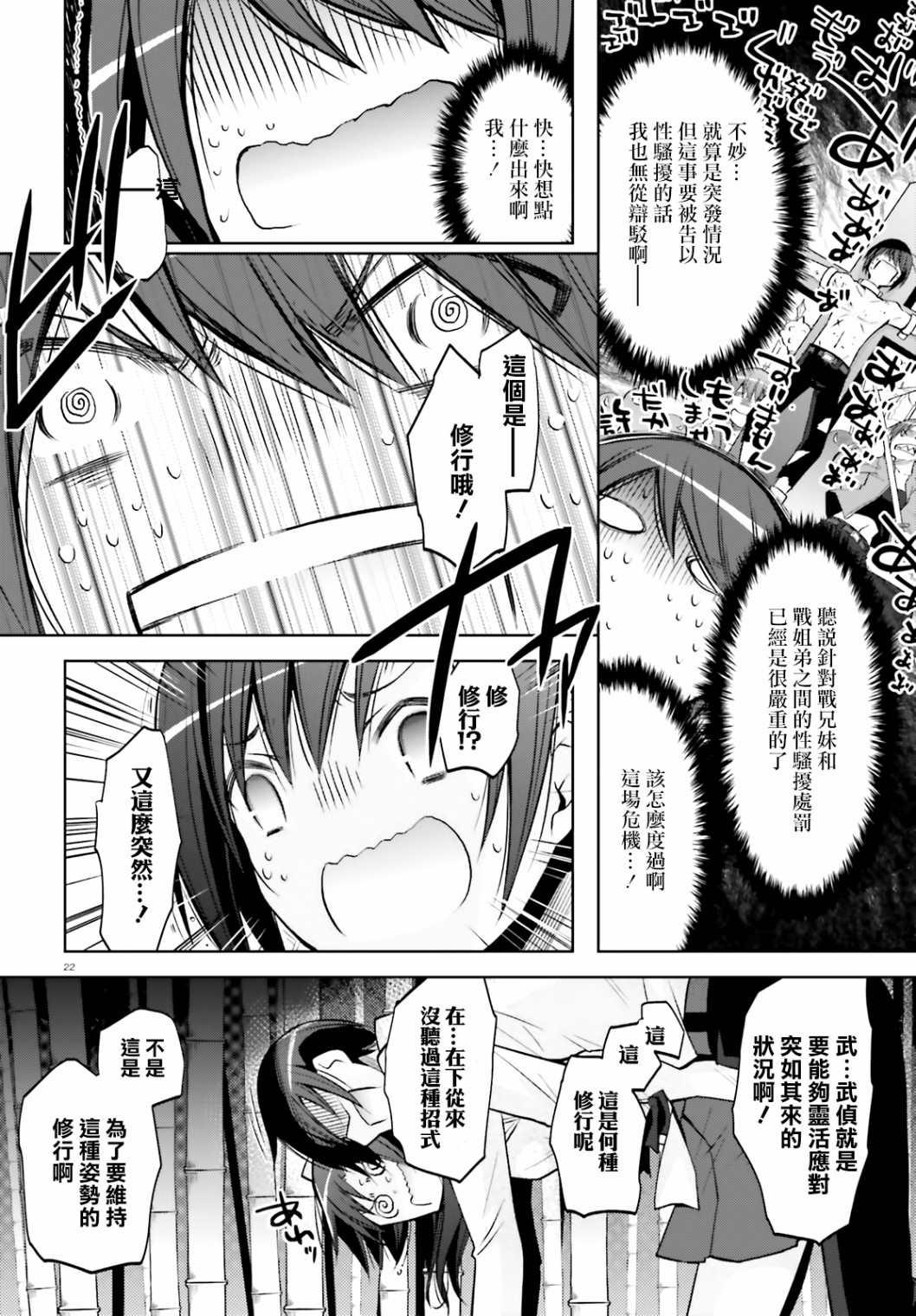 第 22 页