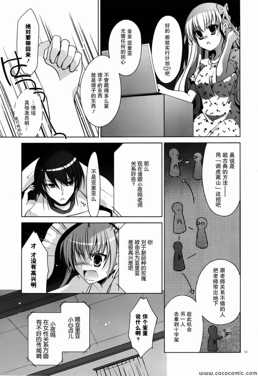 第 13 页